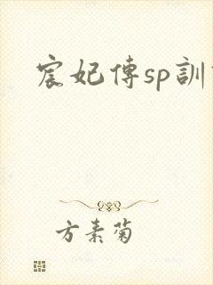 宸妃传sp训诫