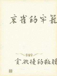 哀雀的牢笼