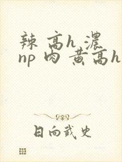 辣 高h 浓 np 肉 黄高h
