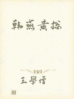 韩燕黄总