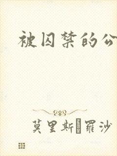 被囚禁的公主