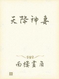 天降神妻