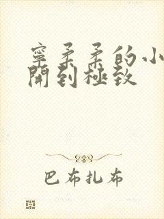 宁柔柔的小泬撑开到极致