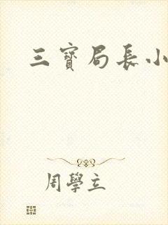 三宝局长小说
