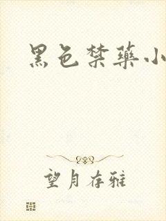 黑色禁药小说