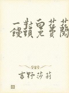 一对白花花的大馒头免费阅读