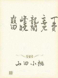 巅峰龙主丁长顺田晓兰免费阅读