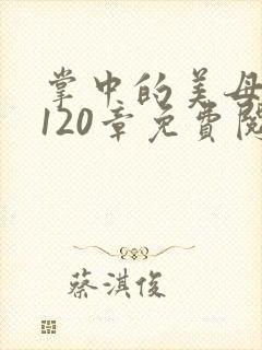 掌中的美母版主120章免费阅读