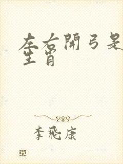 左右开弓是什么生肖封面