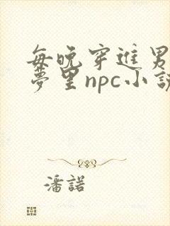 每晚穿进男神的梦里npc小说