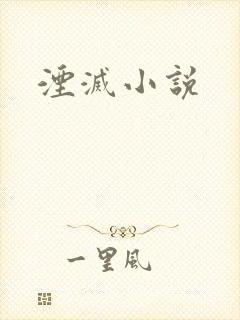 湮灭小说
