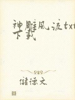 神雕风流txt下载