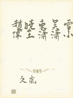 赵晓东吴雪晴郑伟王潇潇小说名字
