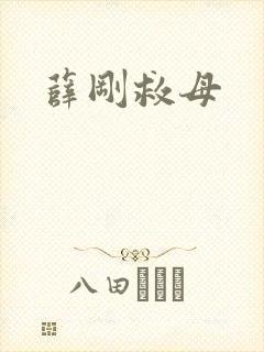 薛刚救母