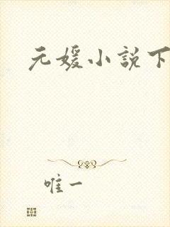 元媛小说下载