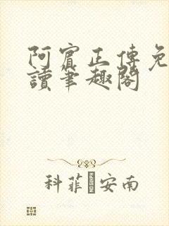 阿宾正传免费阅读笔趣阁