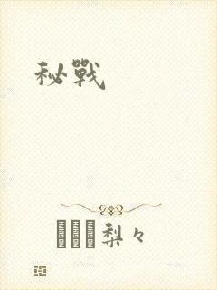 秘战