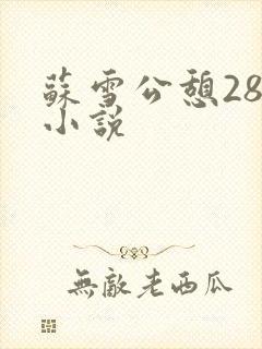 苏雪公憩28篇小说