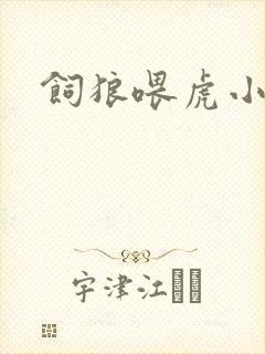 饲狼喂虎小说封面