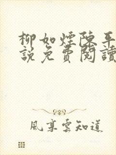 柳如烟陈平安小说免费阅读全文封面
