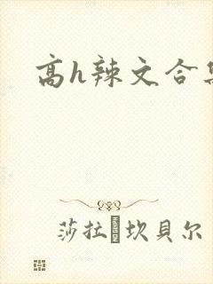 高h辣文合集