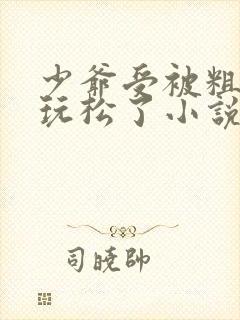 少爷受被粗汉H玩松了小说封面