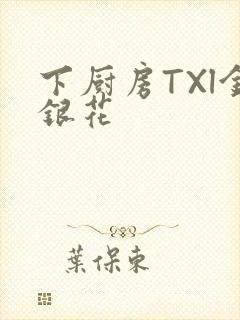 下厨房TXl金银花