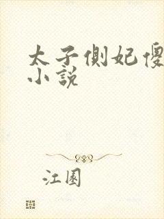 太子侧妃傻乎乎小说