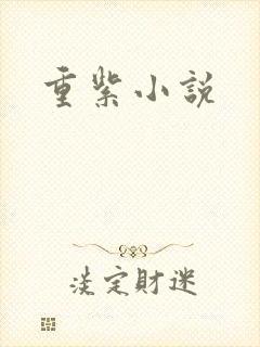 重紫小说封面