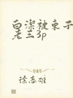 白洁被东子老二老三3p