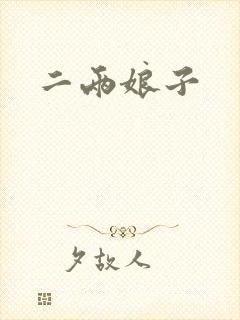 二两娘子封面