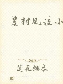 农村风流小说