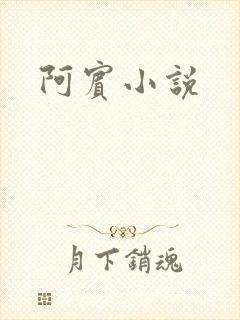 阿宾小说