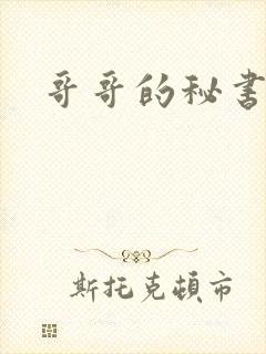 哥哥的秘书