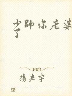少帅你老婆又跑了