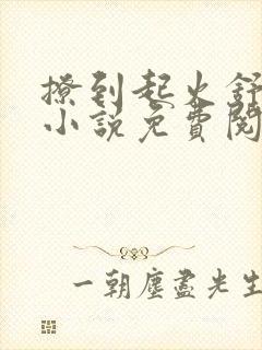 撩到起火舒漾的小说免费阅读全文