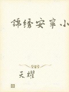 锦绣安宁小说