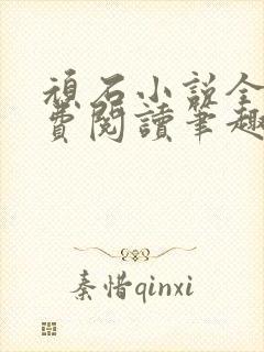 顽石小说全文免费阅读笔趣阁封面