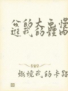 公的大龟慢慢挺进我的体内视频