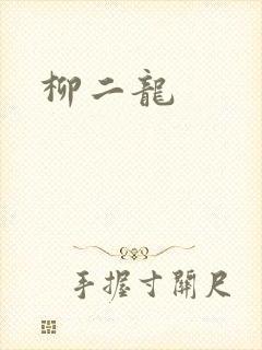 柳二龙