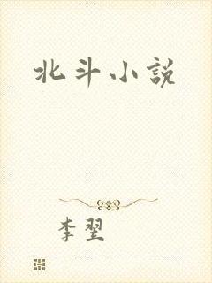 北斗小说