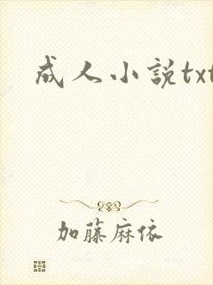成人小说txt封面