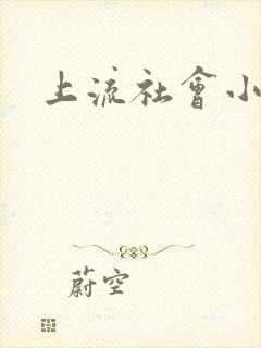 上流社会小说