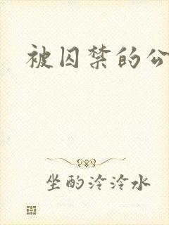 被囚禁的公主封面