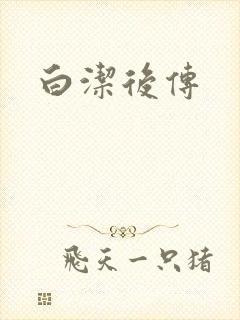 白洁后传