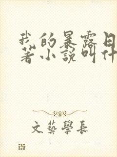 我的暴露日记原著小说叫什么封面