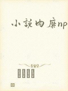 小说肉糜np封面