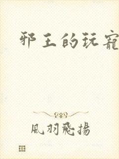 邪王的玩宠