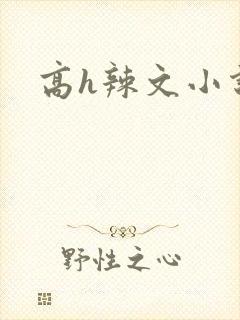 高h辣文小说