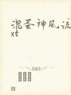 混蛋神风流史txt封面